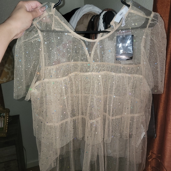 Forever 21 Beige Tulle Top - Picture 2 of 6